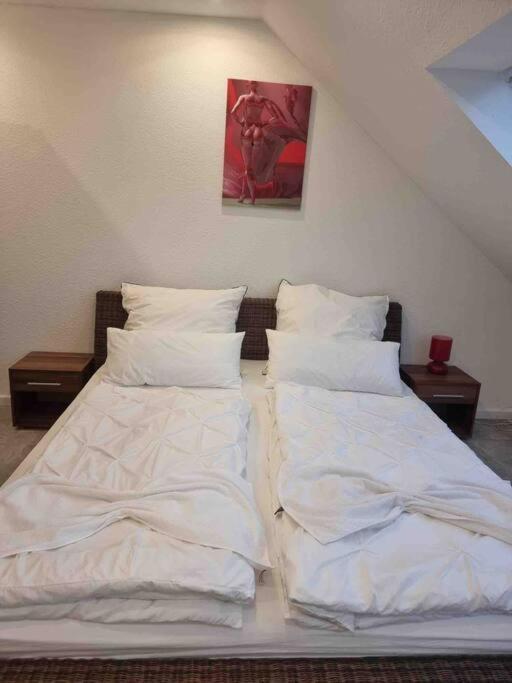 B01 Apartment Between Cologne & Bonn With Nature Access Troisdorf Exterior photo